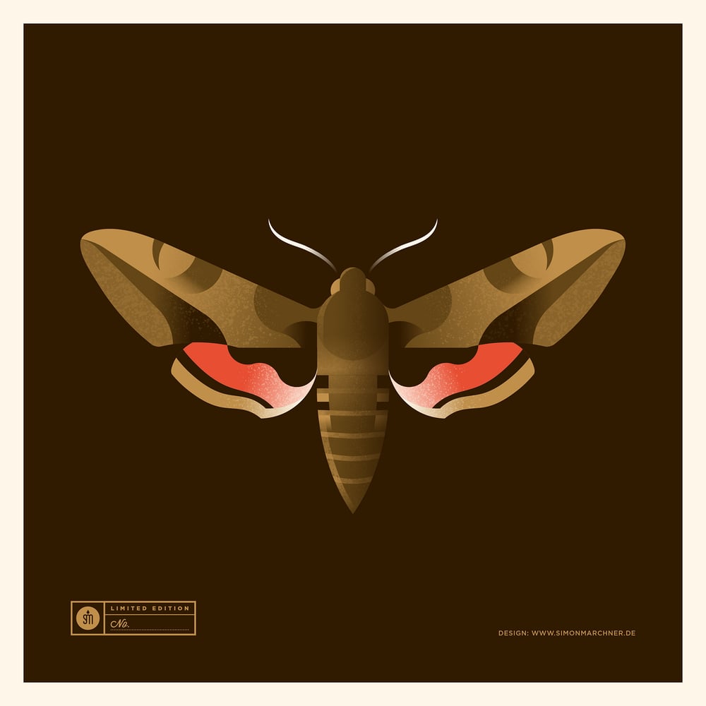 Image of Hawkmoth Artprint