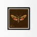 Image of Hawkmoth Artprint