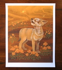 Image 5 of LTD Print - Coyote and Poppies