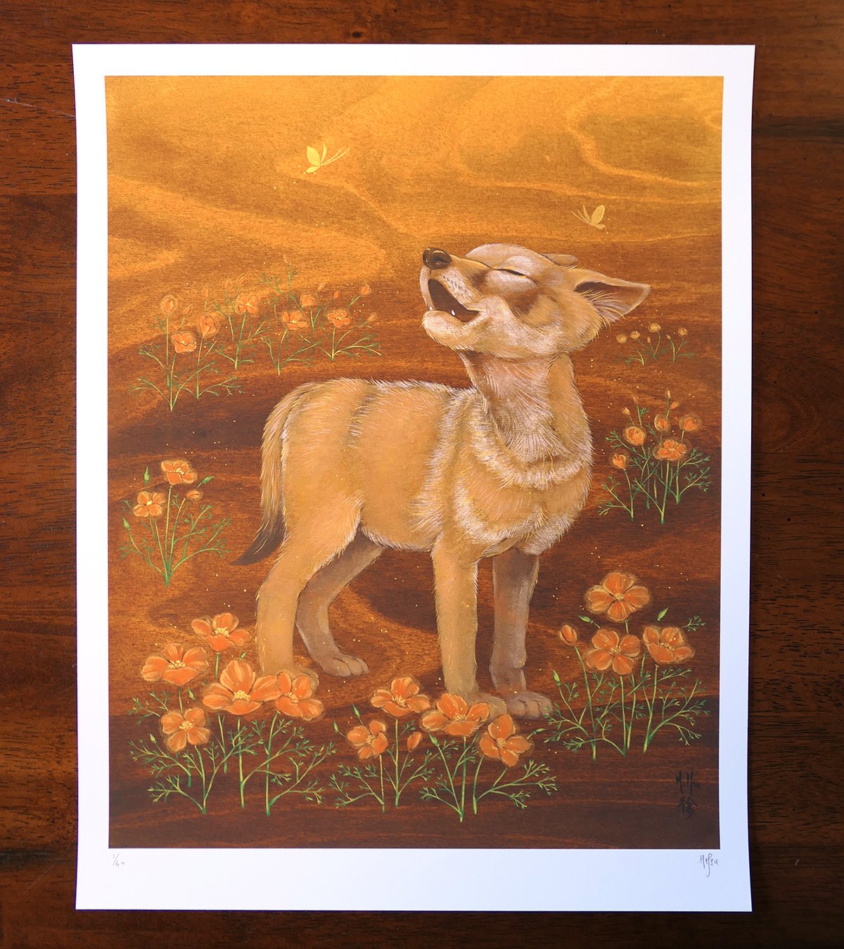 LTD Print - Coyote and Poppies