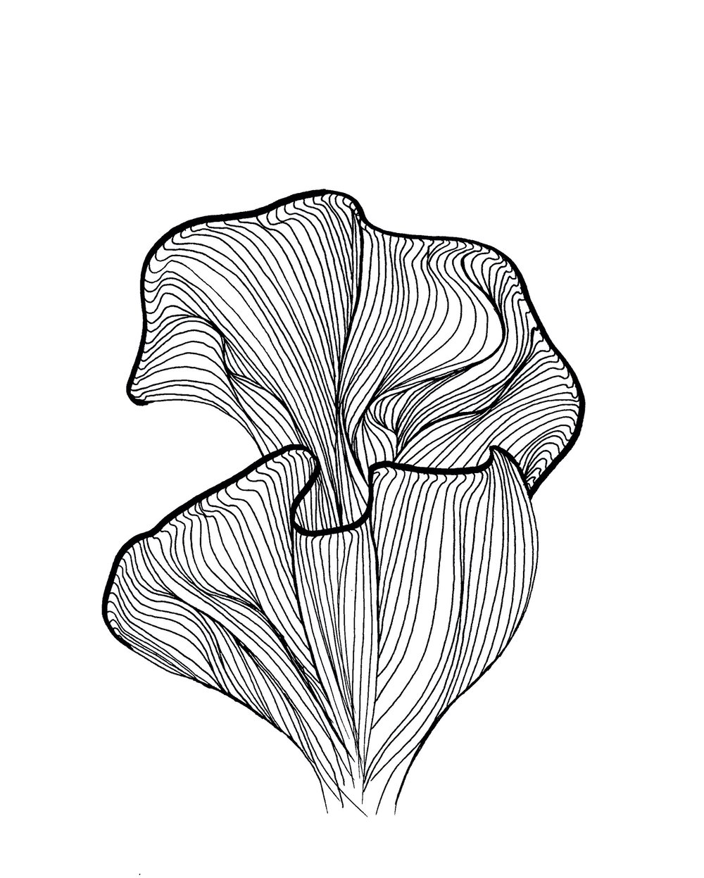 Image of Botanical Abstract b&w