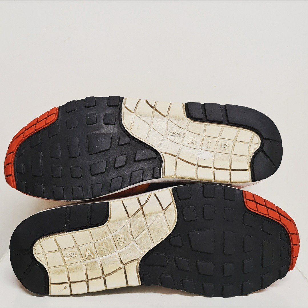 air max 1 carrot safari