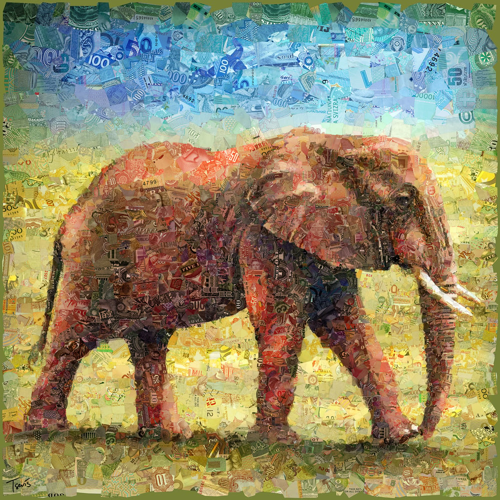 Image of Money Zoo: The Elephant