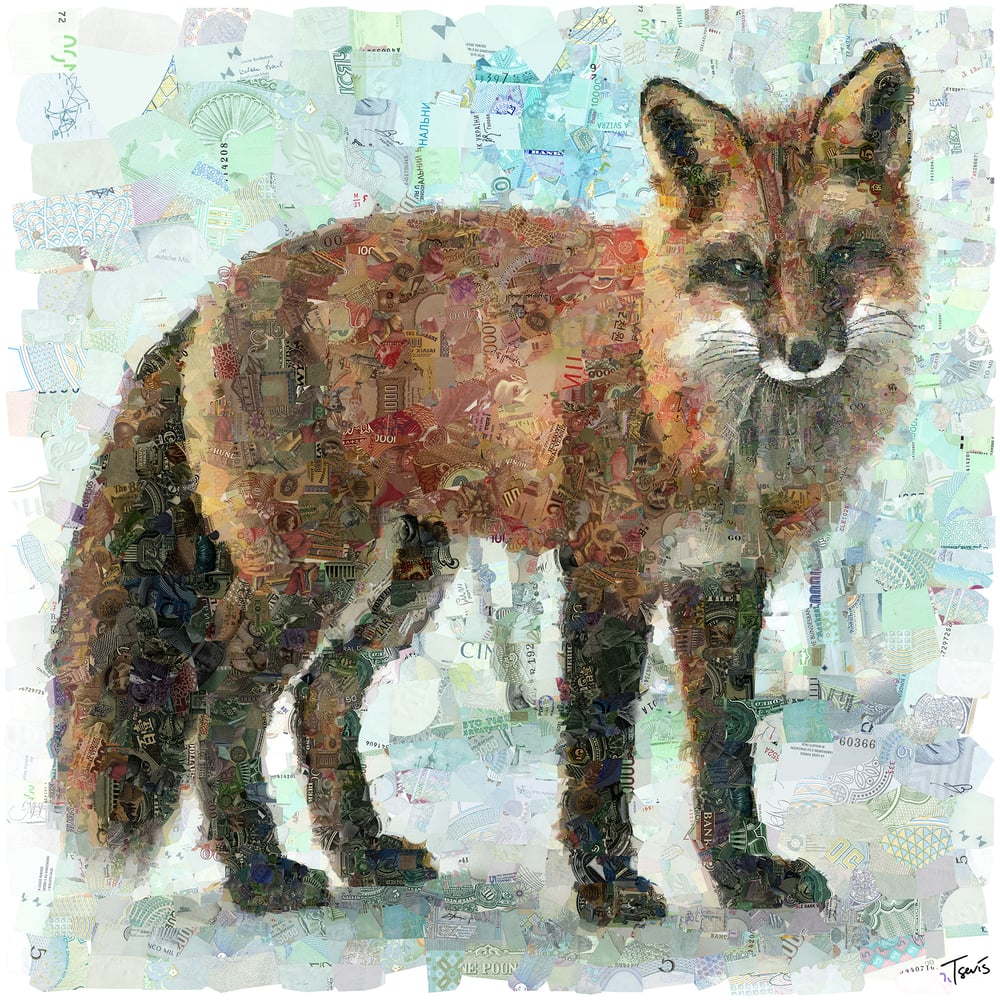 Image of Money Zoo: The Fox