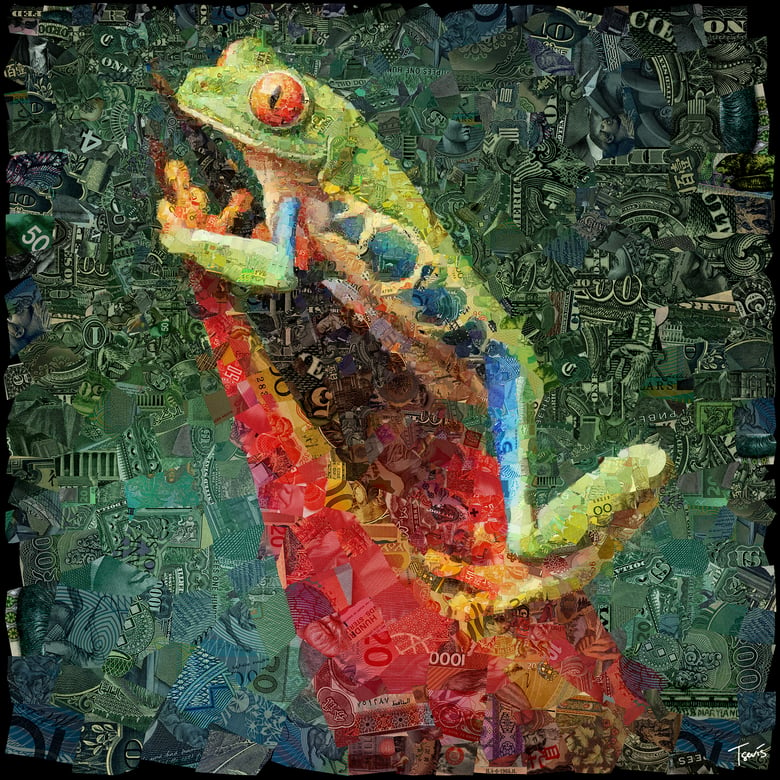 Image of Money Zoo: The Frog