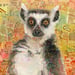 Image of Money Zoo: The Lemur