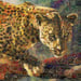 Image of Money Zoo: The Leopard