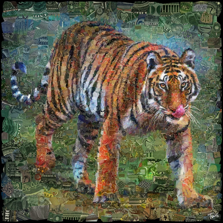 Image of Money Zoo: The Tigre