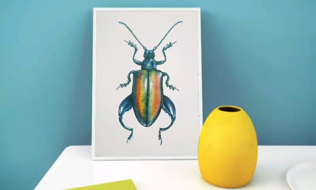 Image of Frog legged beetle | Insect print | Bug watercolor | Entomology | insect print watercolor art 