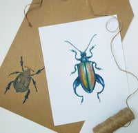 Image 5 of Frog legged Beetle Watercolor PRINT 