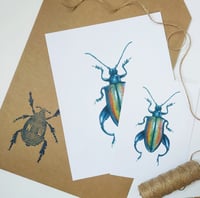 Image 4 of Frog legged Beetle Watercolor PRINT 