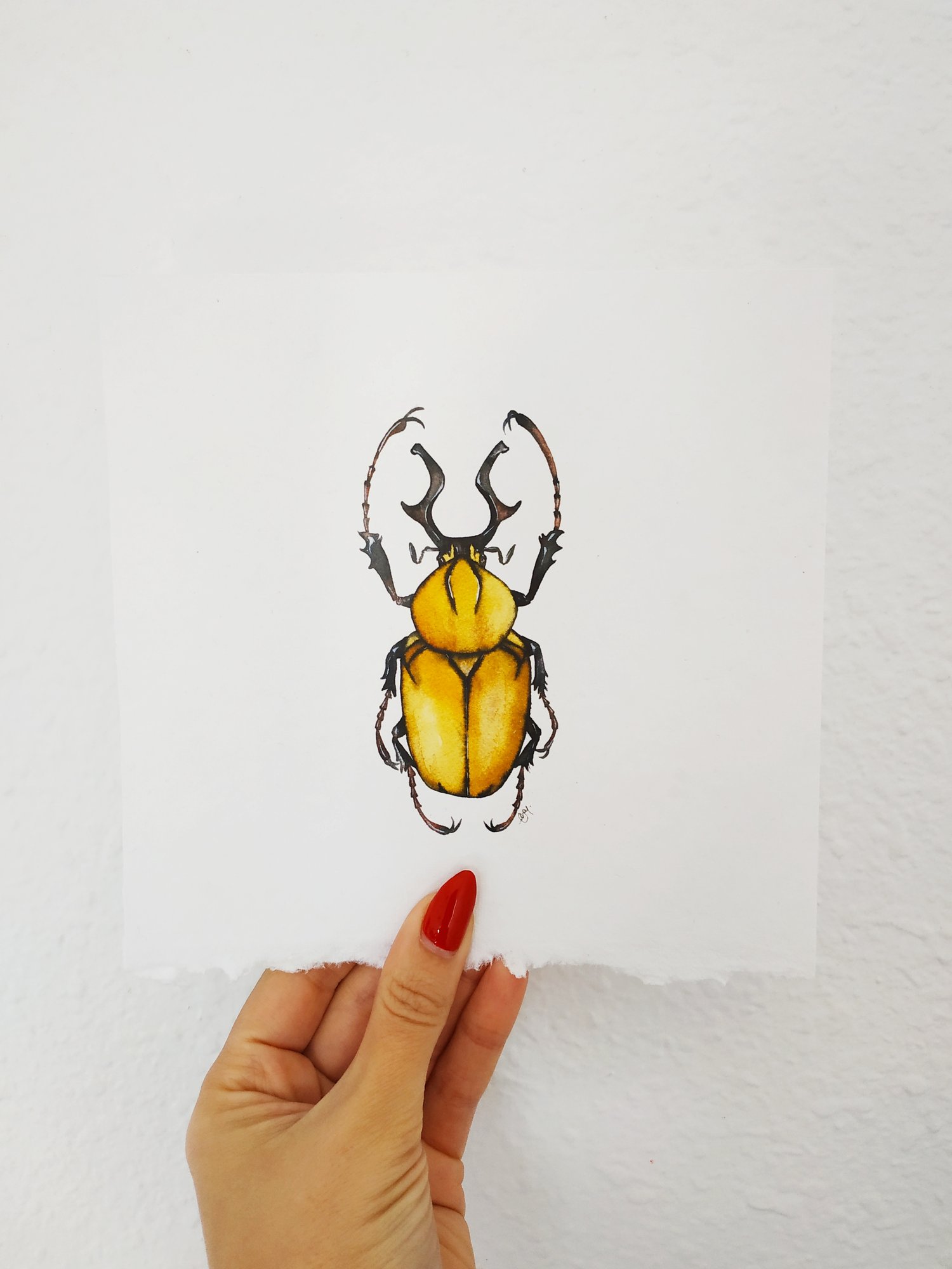Image of Beetle Watercolor Print, Handmade cotton paper 