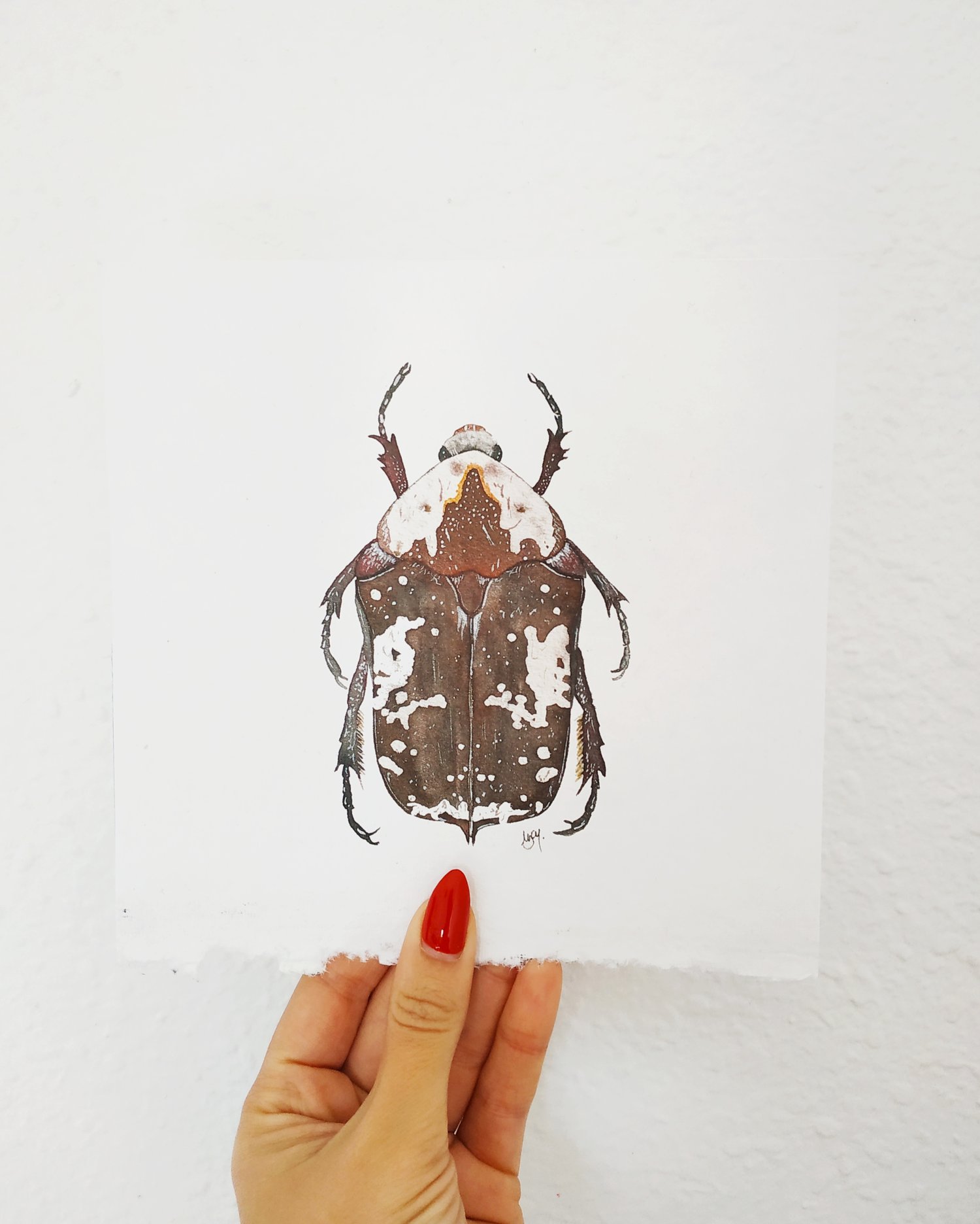 Image of Protaetia aurichalcea Beetle Watercolor Illustration Print, Handmade Cotton Paper