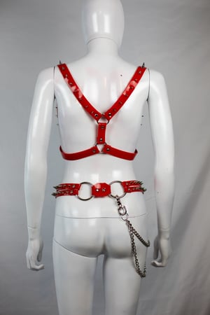 Image of Red Switchblade Harness
