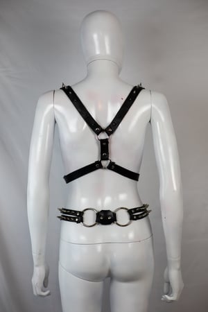 Image of Black Switchblade Harness