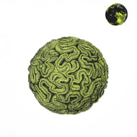 Image 1 of Haeckel-Rauschenberg Fluorescent Brain Stone Moon Tee 