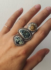 Image 1 of Variscite Coral Triple Bezel 