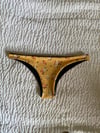 SALTED BIKINI BOTTOMS : DAISY DOES IT X BLACK 