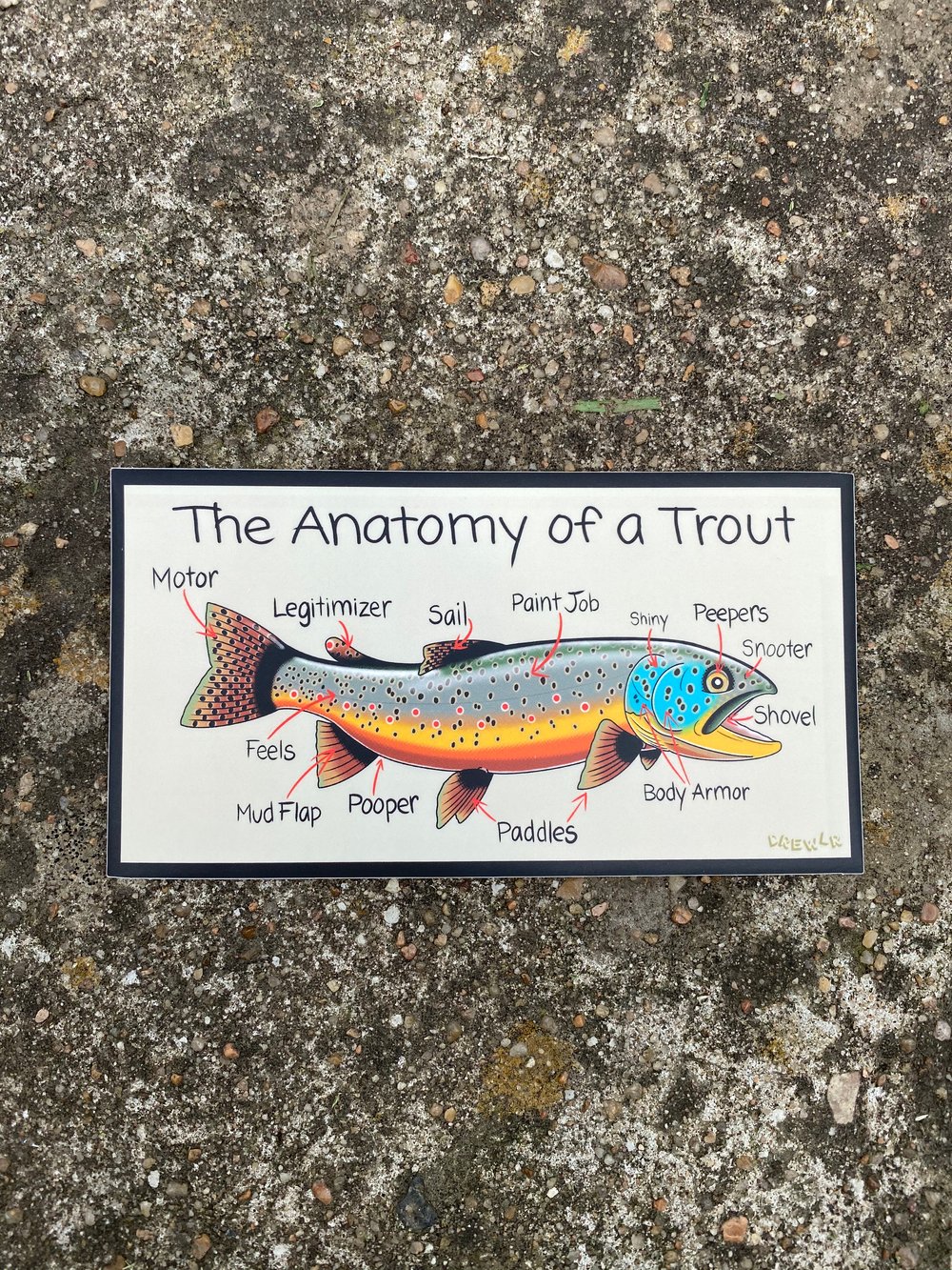 Anatomy of a Trout Sticker DrewLR