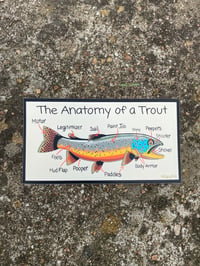 Image 2 of Anatomy of a Trout Sticker