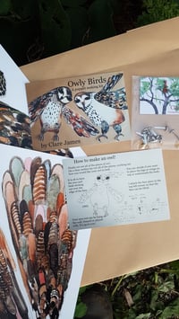 Image 2 of Owly Bird puppet kit.