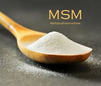 Image 1 of MSM (250g)