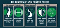 Image 2 of MSM (250g)