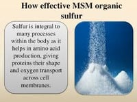 Image 4 of MSM (250g)