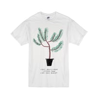 Image 1 of Pinus Montezumae T-Shirt