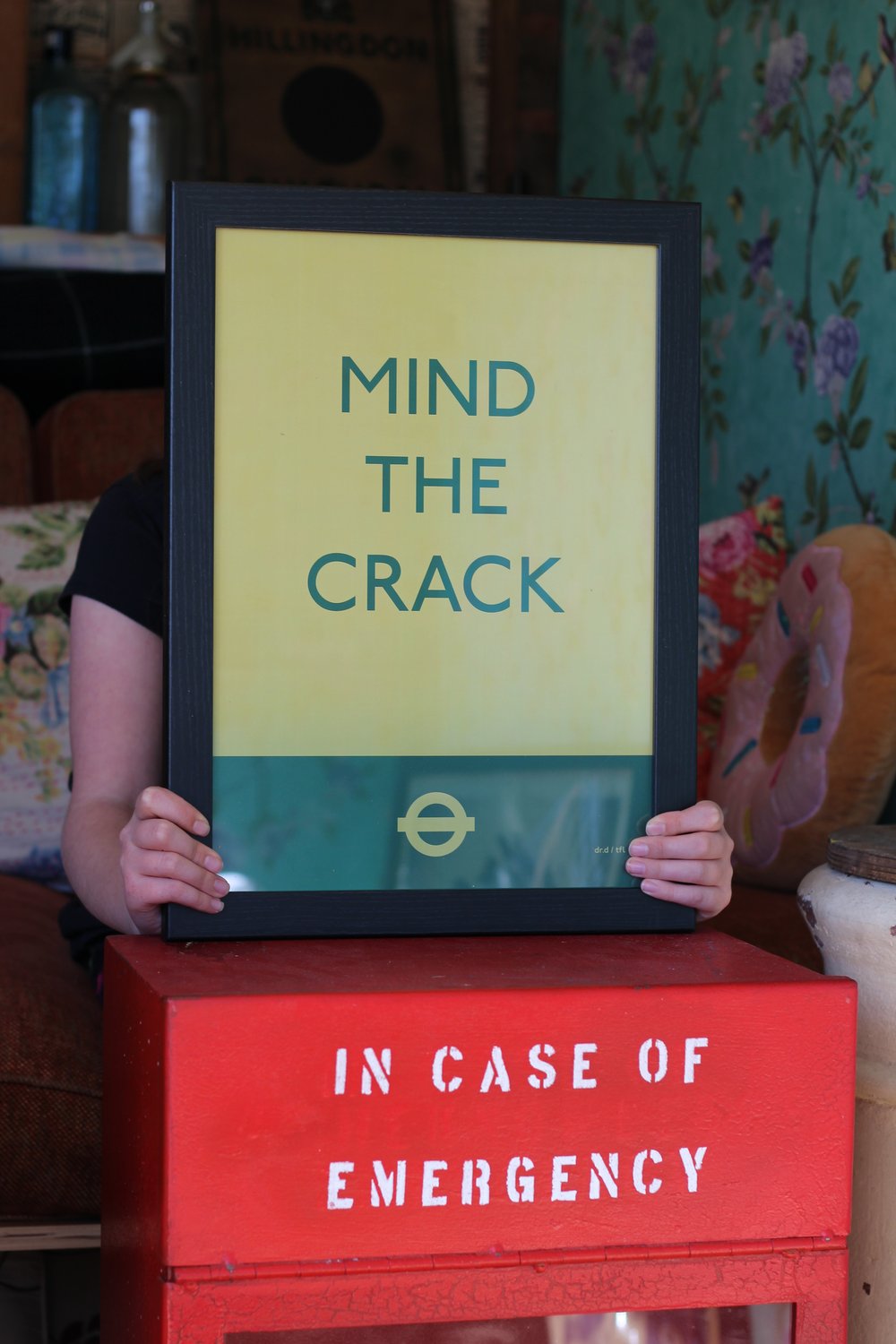 Image of MIND THE CRACK