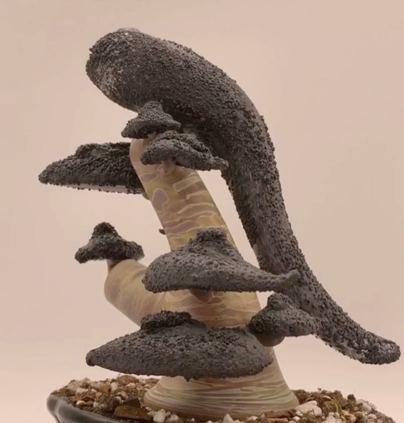 Bonsai #8