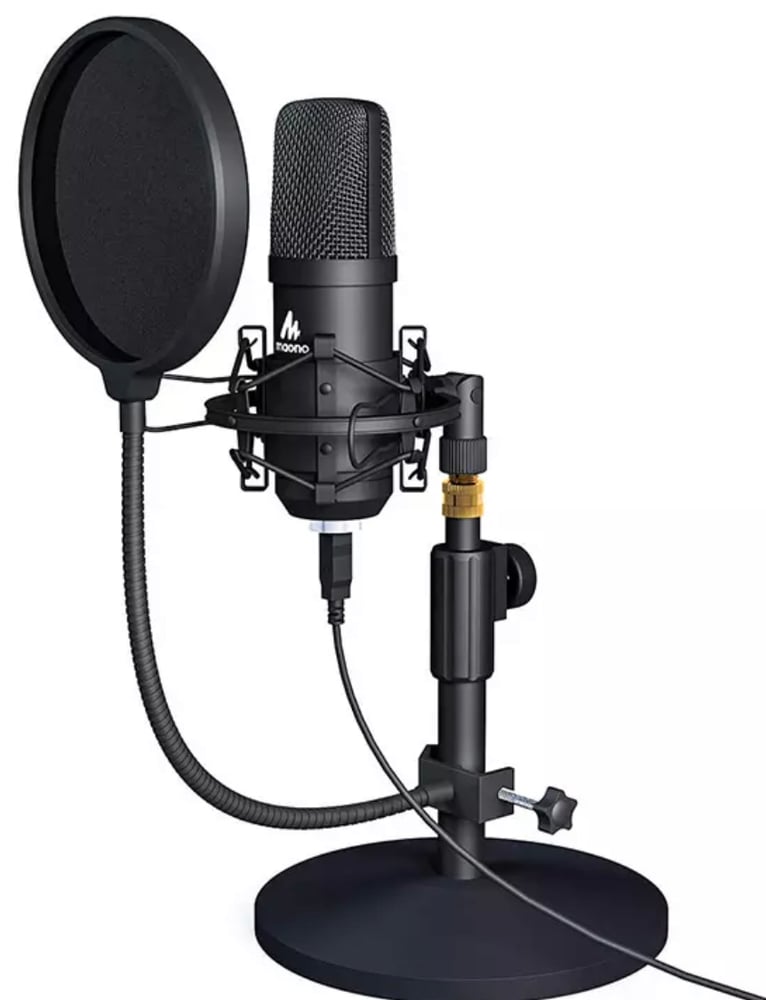 Professional Mic
