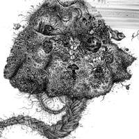 Image 4 of Honeycomb Bride - Print