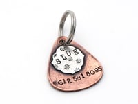 Image 1 of Blue Pet tag