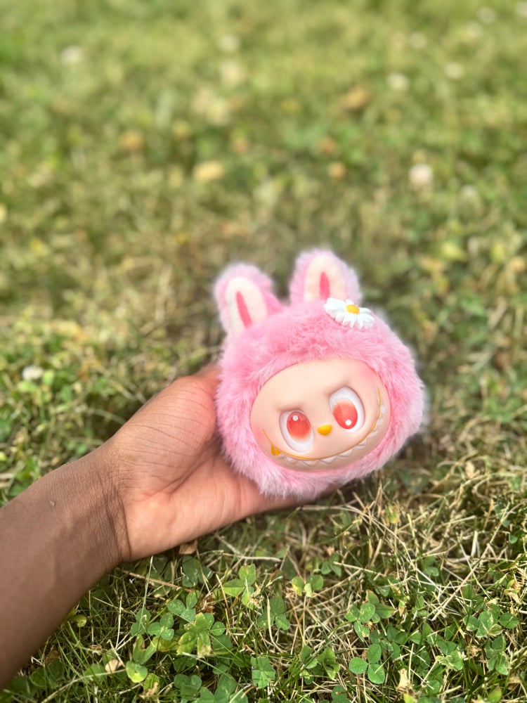 Image of Lafufu Heads (Chinese Version) 