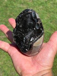 Image 13 of Septarian Nodule Polished Freeform With Calcite Inclusions| Madagascar #2894