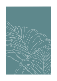 Palms