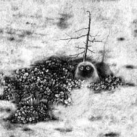 Image 1 of Morning Fog - Print