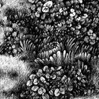 Image 4 of Morning Fog - Print