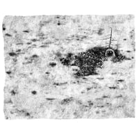 Image 2 of Morning Fog - Print