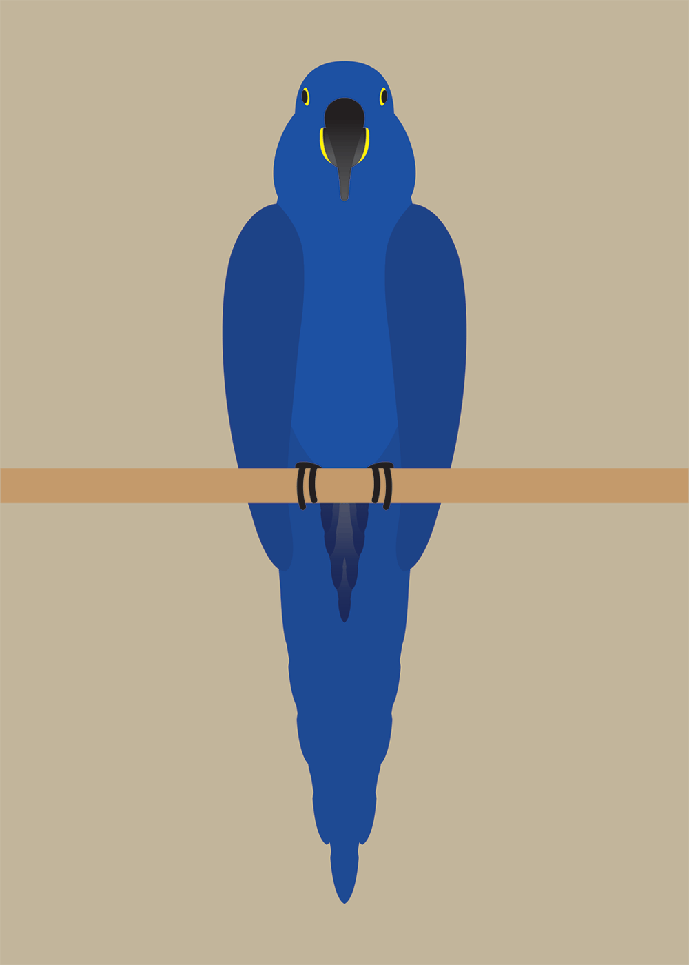 Macaw Collection