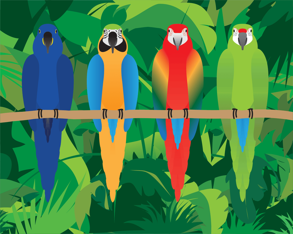 Macaw Collection