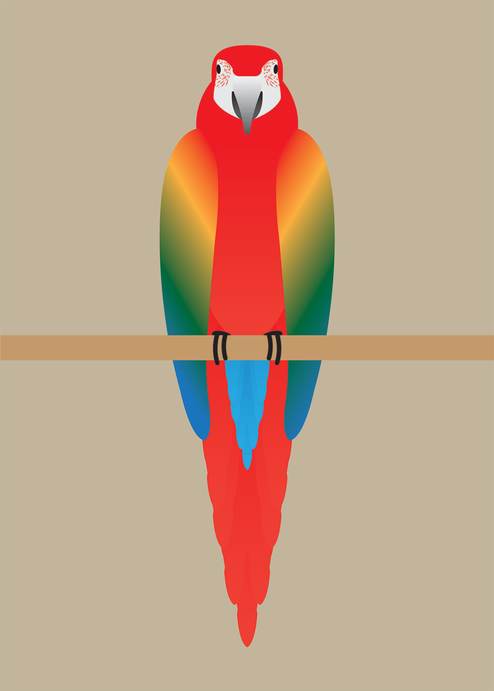 Macaw Collection