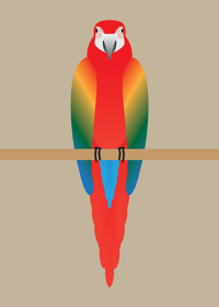 Image 2 of Macaw Collection