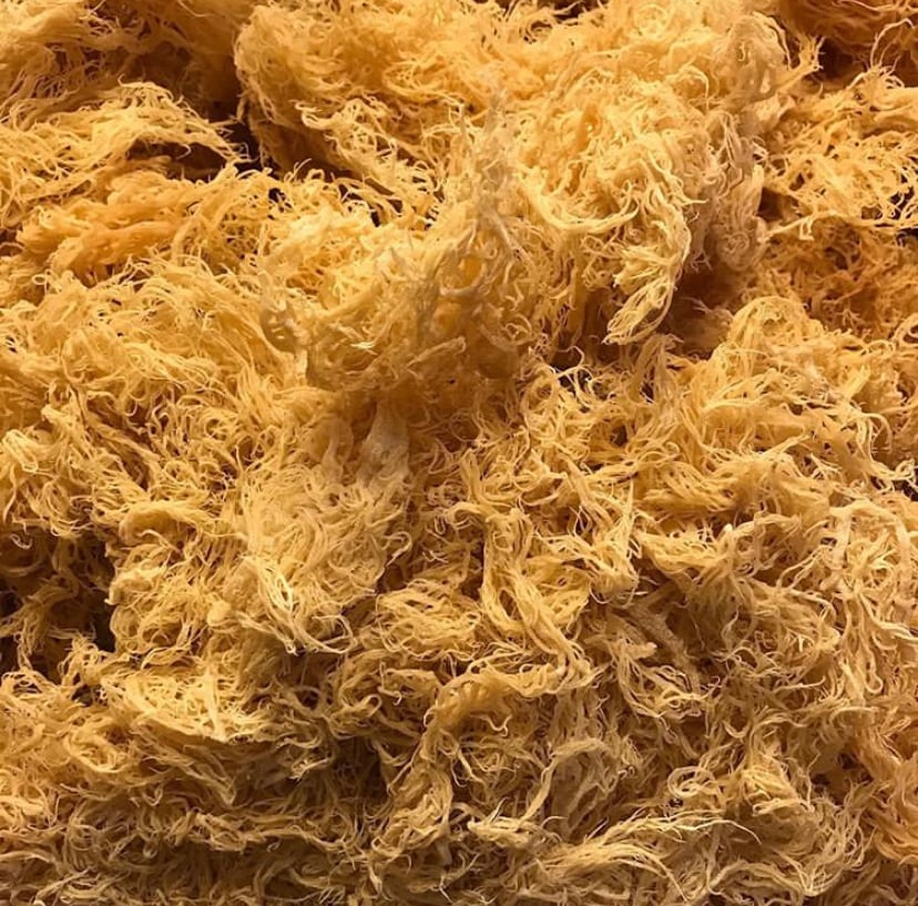 Raw Wild-crafted Irish Sea Moss | TopVeganHerbalista