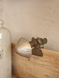 Image 4 of La baladeuse champignon