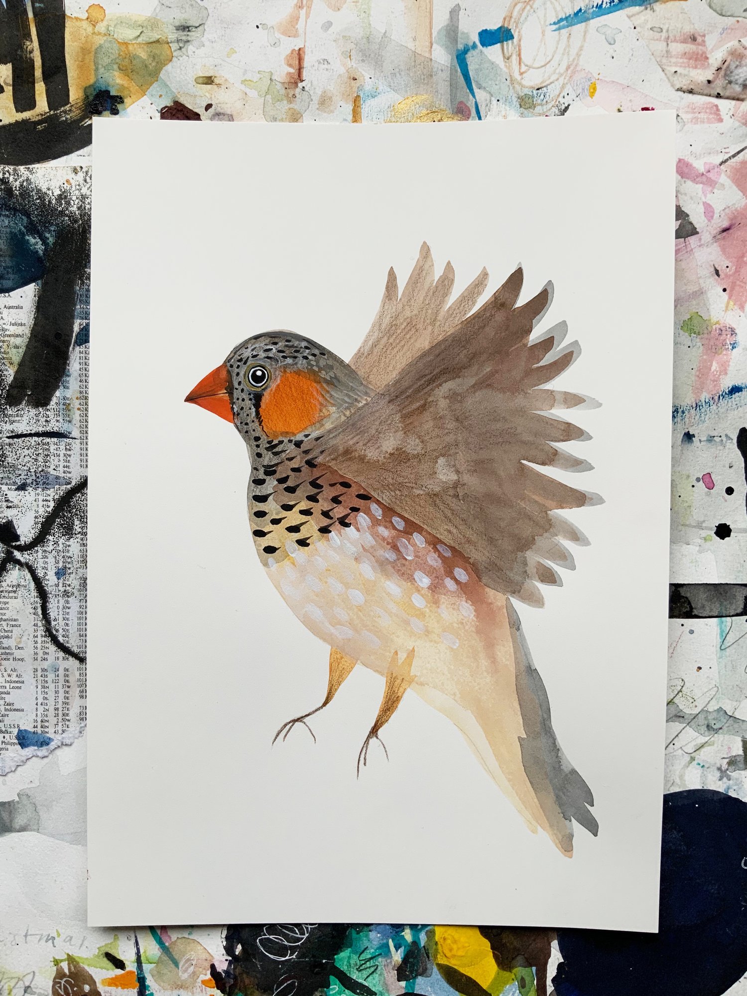 Image of In Flight - Zebra Finch