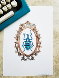 Image 3 of Framed Weevil Beetle Watercolor Illustration PRINT 