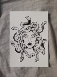 Print Medusa
