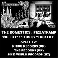 Image 2 of THE DOMESTICS / PIZZATRAMP 'NO LIFE' / 'THIS IS YOUR LIFE' SPLIT 12"